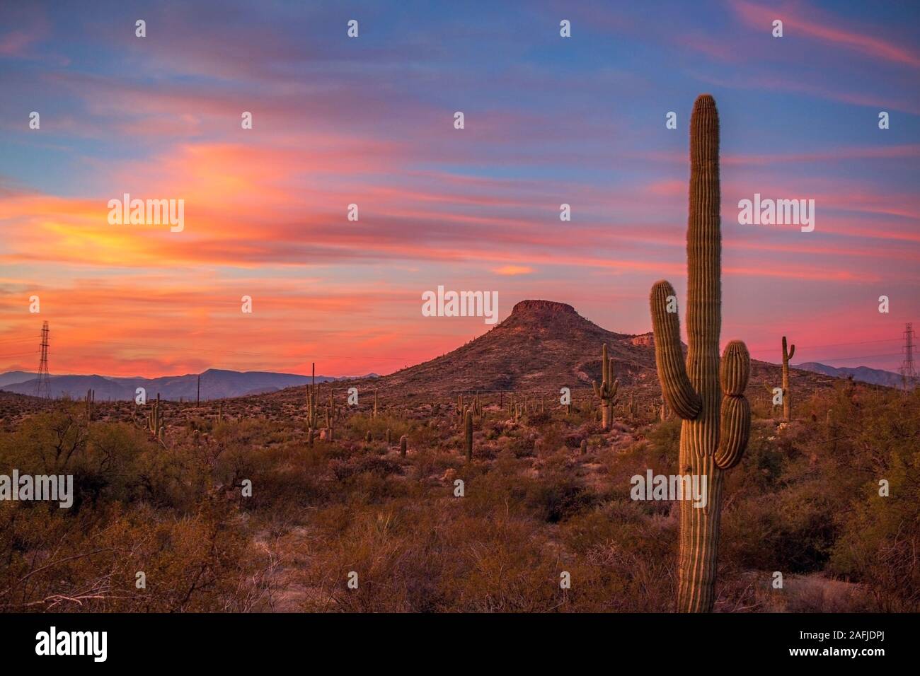 Lebendige Arizona Sonnenuntergang Himmel mit Catus und Butte Ausbildung in den Hintergrund. Stockfoto