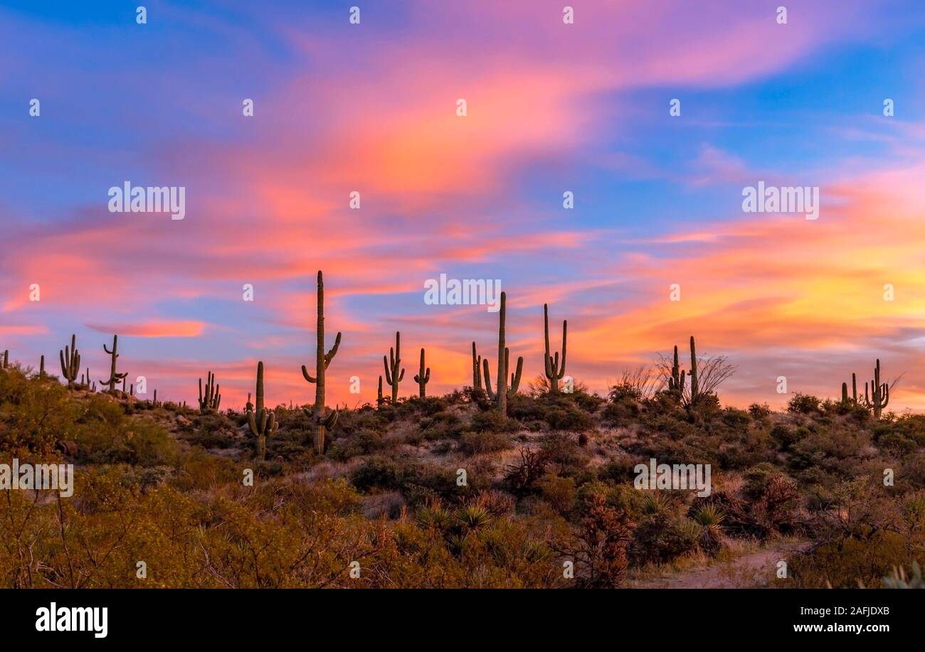 Sonnenuntergang Himmel Landschaft an der braunen Ranchs Trail Head in Scottsdale, Arizona Stockfoto