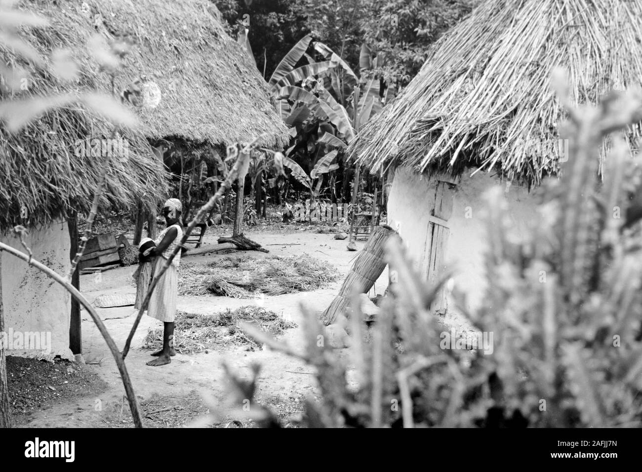 Typische Behausungen im Bergland Haitis, 1967. Typische Wohnungen in Haitis Berg, 1967. Stockfoto