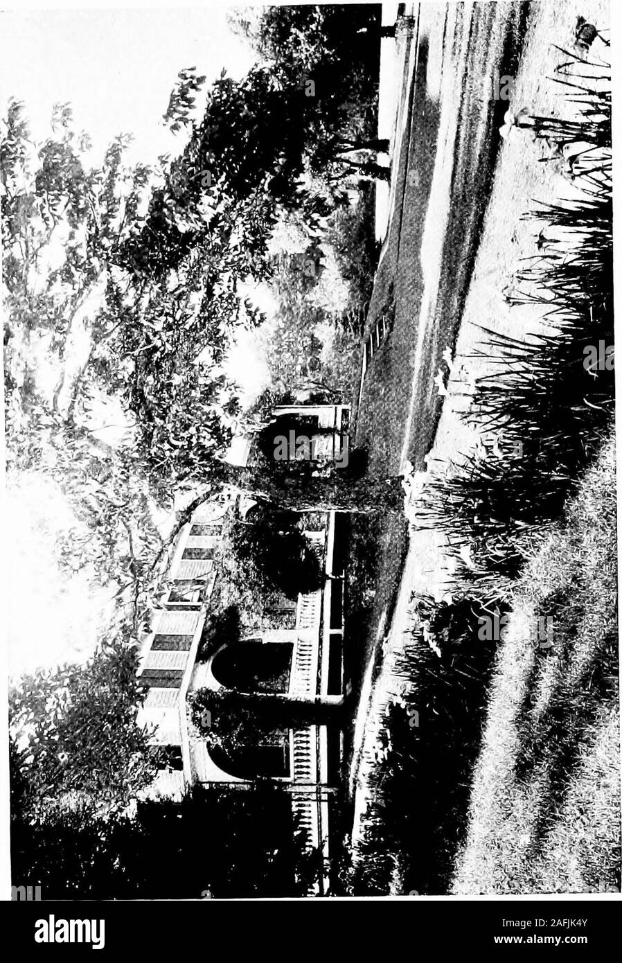 . Das Land Home. onserved Hitze. Diese Entwicklung des Hauses haben Sie seenhas einfach eine Evolution des Menschen. Ithas selbst lernen, sich gleichgültig Anpassungen zum Ausdruck zu bringen. Wie jedermann erhält in seinem separaten Fakultäten, die sich in einer Wohnung thosefaculties bettereducated zum Ausdruck bringt. Eine rightsort eines Hauses findet man heraus und zeigt eine onesself. Das ganze Haus, insgesamt, ist der wholehuman, arbeiten in Ausdruck und sep-für Arate funktionieren. Jetzt sind alle um uns herum setzen wir thebirds zu singen und die Bäume wachsen, während theheart aller dieser li Stockfoto