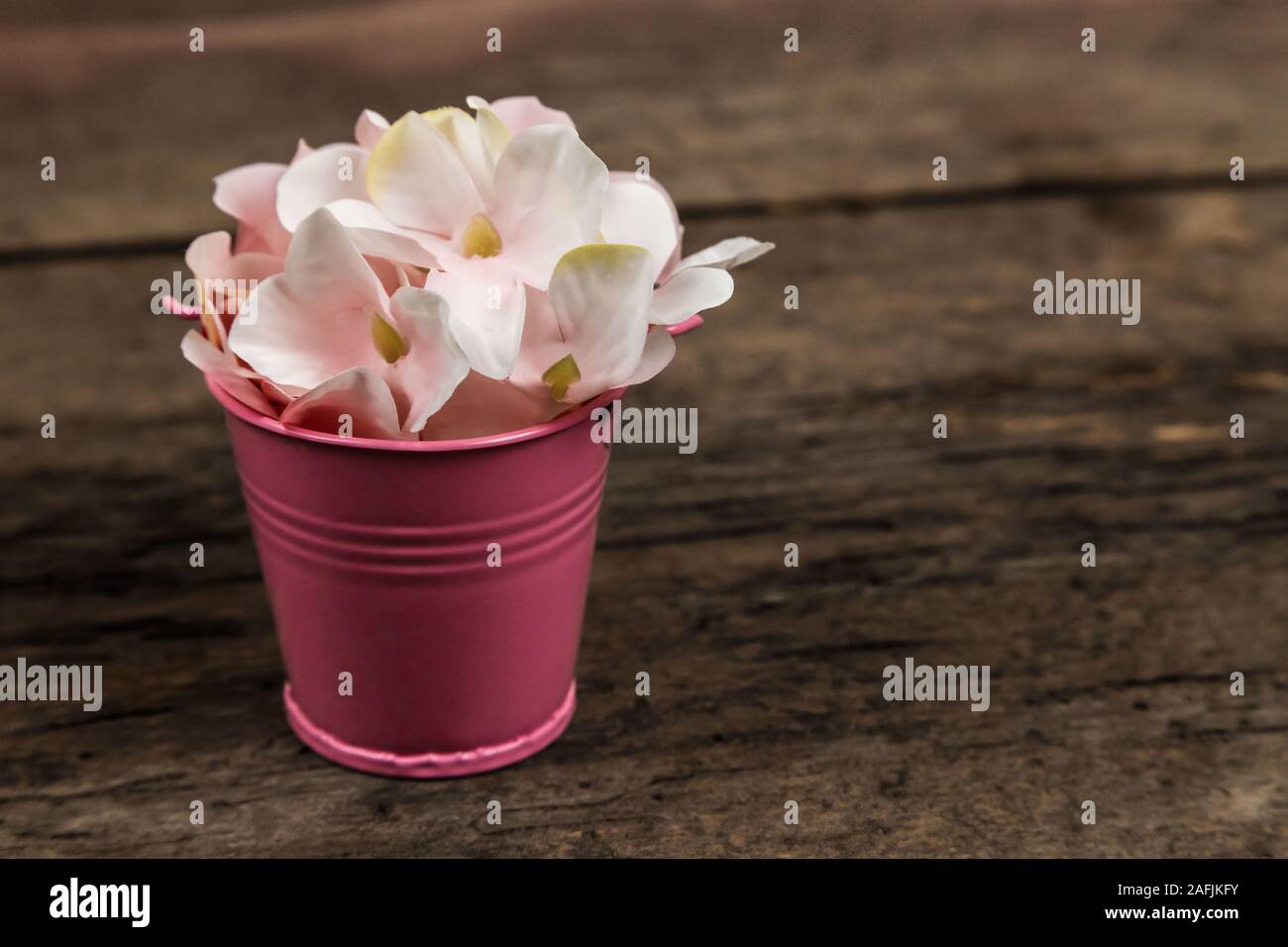 Pastell rosa Hortensie Blumen in einer kleinen Schaufel auf Holz Hintergrund. Kopieren Sie Platz für Text. Stockfoto