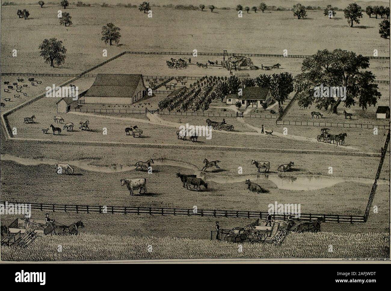 . Geschichte der Yuba County, Kalifornien, mit Abbildungen beschreibende seiner Landschaft, Wohnhäuser, öffentliche Gebäude, feine Bausteine und Manufakturen. Hersteller; sincethat Zeit gab es keine Veränderung in der Offiziere. Die Treuhänder werden wird. Belcher, William Fletcher, Charles Sexey, M. Marcuse, N.D., Hide-out, C.M. Patterson, und JD. E.Ritter. Wolle war billig Die firstyear, und die Mühle war erfolgreich genug, um eine Aktiendividende oftwenty - fünf Prozent zu erklären. Die gleiche Dividende wurde auch für die secondyear erklärt. Das Grundkapital ist jetzt zwei hundert tausend Dollar, o die hundert und fünfundzwanzig Du Stockfoto