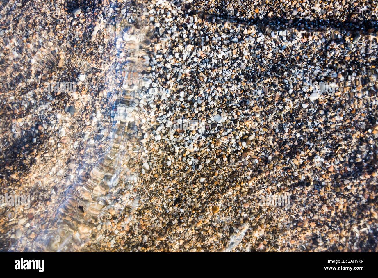 Viele kleine Schalen decken den Strand von Bear Lake Utah Stockfoto