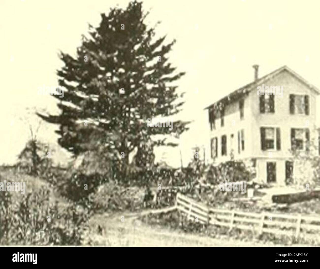 . Farmington, Connecticut, das Dorf von schönen Häusern. Ich, Ich, Ich siiii; m; m Tiiumas ikhmmi. w.. ? -5 N-. TTTliDSnilCNC!?: (II IIKNKV T. SIIONSON. Stockfoto