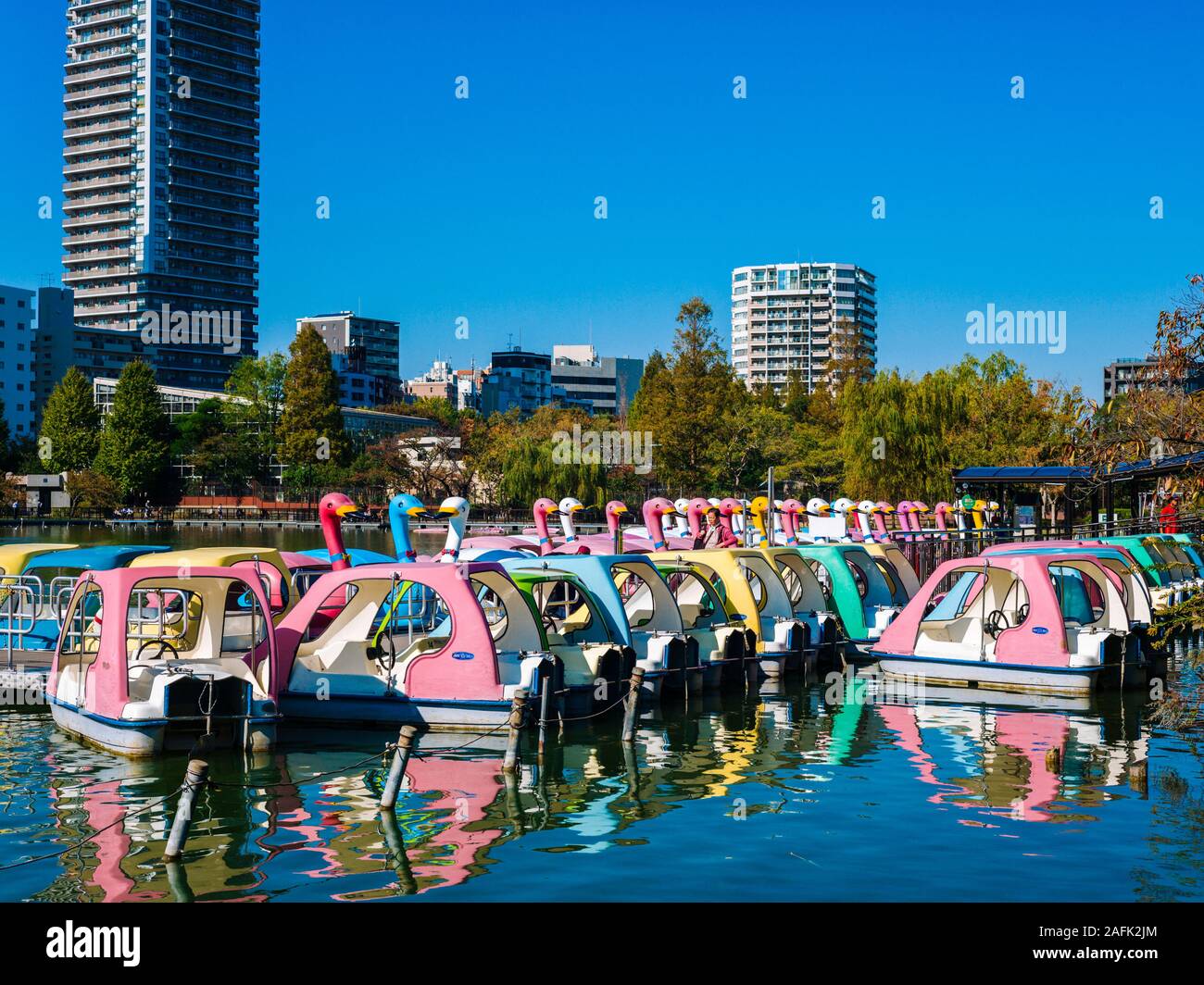 Boote zum Mieten an shinobazu Teich in Ueno Park, Tokyo/Japan Stockfoto