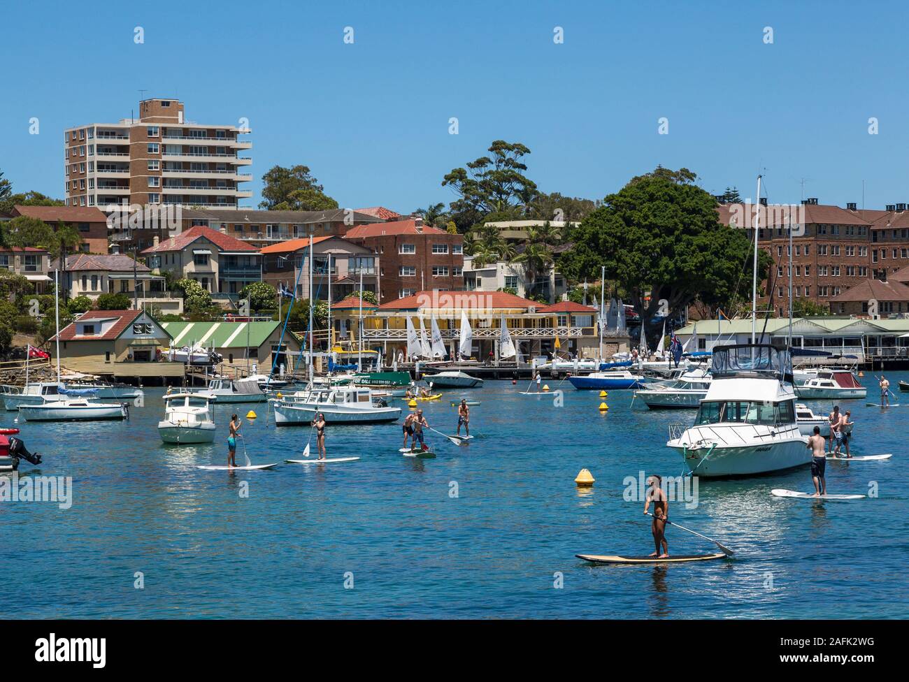 Paddle Boarding, Manly Harbour, Sydney, NSW, Australien Stockfoto