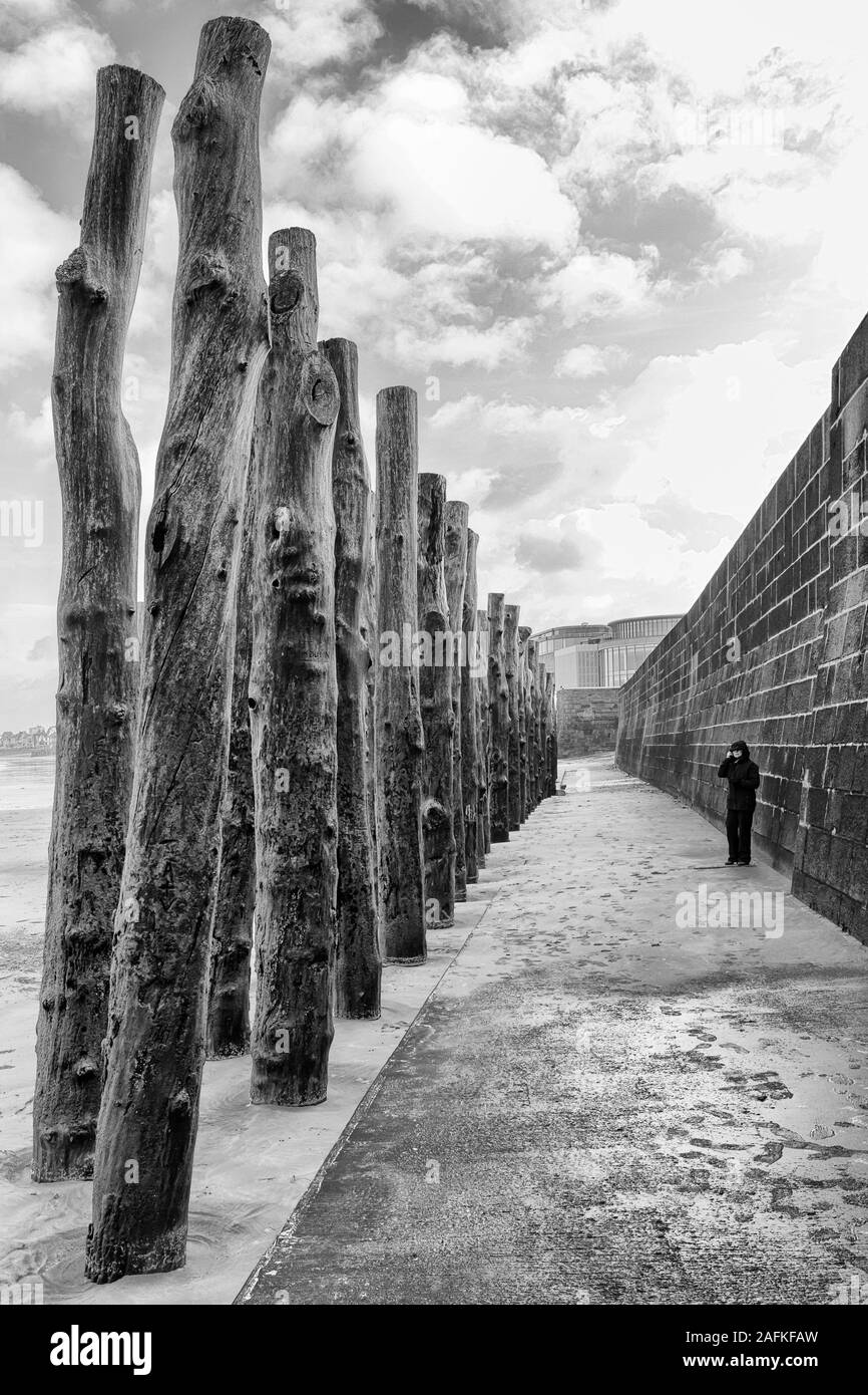 Holzpfähle, Baumstämme, die den Strand von der Stadtmauer als Wellenbrecher bei Saint Malo, Saint Malo, Bretagne, Frankreich im Dezember Abbildung mit Skala Stockfoto