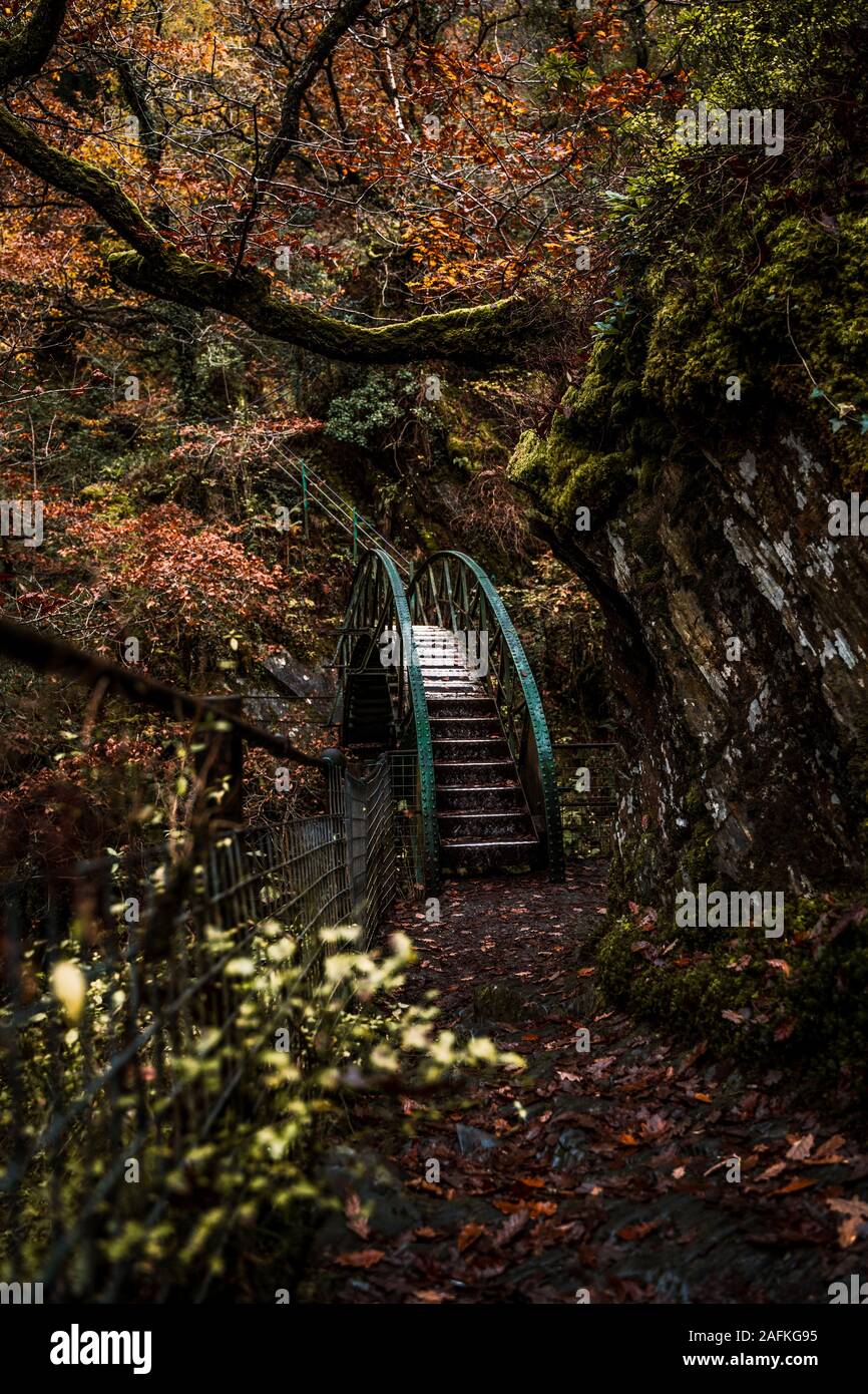 Herbst Wald Spaziergang über die Brücke bei Mynach fällt, Wales. Stockfoto