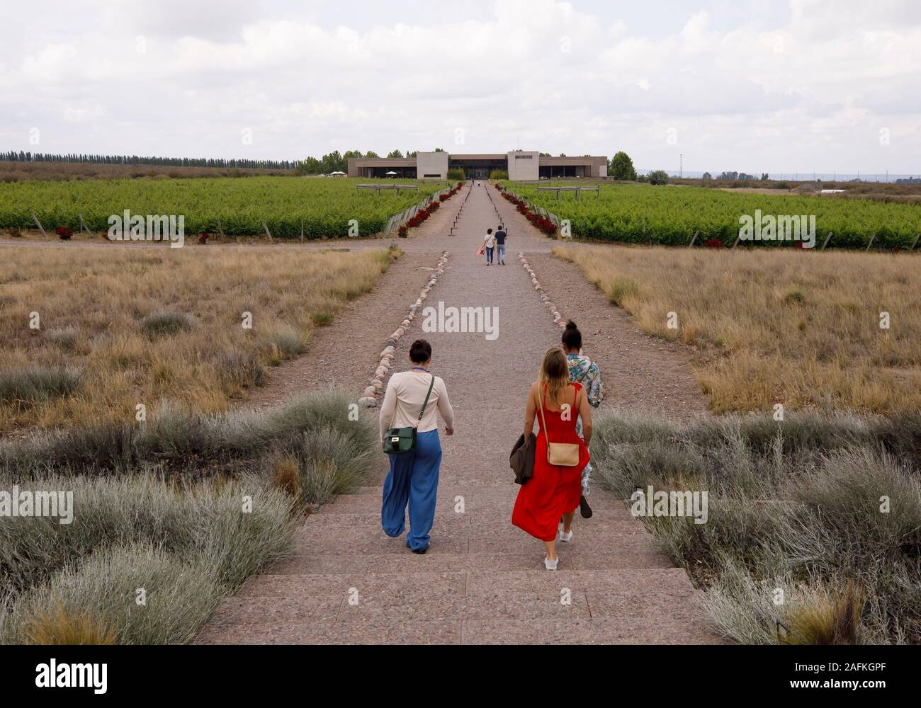 Gäste sprechen unter den Weinberg und die Wüste Landschaft bei Bodegas Salentein in Tupungato, Mendoza, Argentinien. Stockfoto