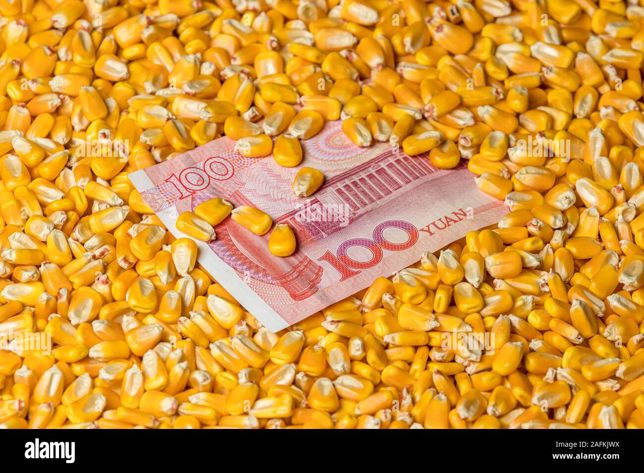 China 100 Yuan Renminbi Rechnung mit Maiskörner umgeben. Konzept von China und USA Tarife, Handelskrieg, und die Marktpreise Stockfoto