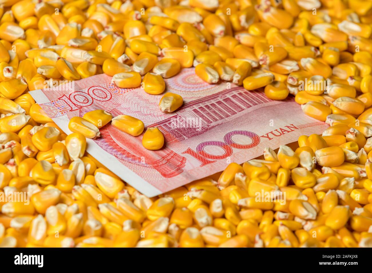 China 100 Yuan Renminbi Rechnung mit Maiskörner umgeben. Konzept von China und USA Tarife, Handelskrieg, und die Marktpreise Stockfoto