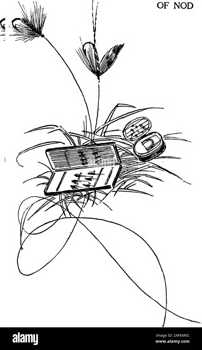 . Tage in der geöffneten. ardersplaying Tennis- und Pitching quoits Wenn zehn rodsaway war der See und Fischen. Aber mehr intimateacquaintance mit dem See zerstreuten sich die Wunder. Die Küstenlinie ist Fachwerk und schön, aber mit dem vorgeschriebenen sieht tot, und kein Sandstrand ist zu beseen. Es ist jetzt alles in der Vergangenheit außer die Erinnerung wird bleiben. Der letzte Nachmittag unserer staywe rudert über den See und wählte ein gunny-Sack voller Haselnüsse, nahm ein Bad im See, und ein Feuer errichtet am Ufer, über die wir uns köstlich roastedthe Zuckermais, Nahmen unser Abendessen in theopen und ruderte Home Da die Schatten zu vertiefen. Stockfoto