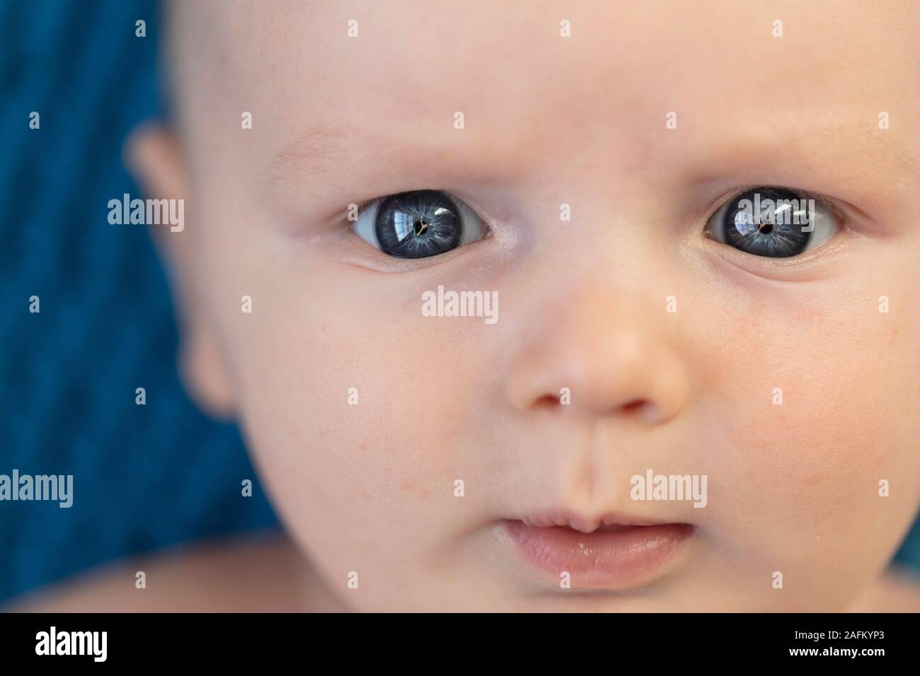 Nahaufnahme von einem blauen Auge von einem 3 Monate alten Baby Boy Stockfoto