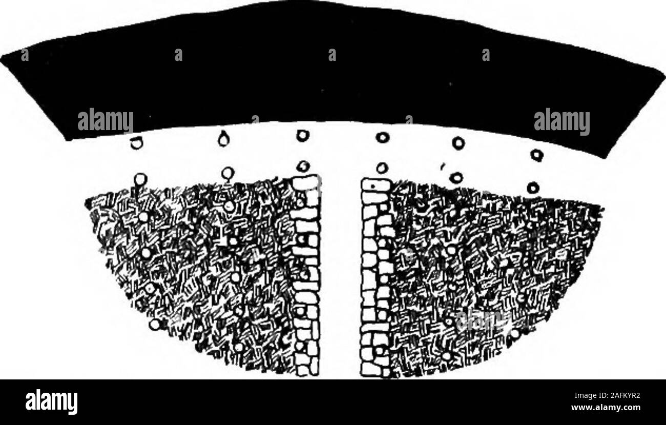 . [Berichte Bd. I-XIII]. Arbeitet neben theentry den Eintrag Mauer baut, in der Regel ohne extra zu bezahlen. Thedifference zwischen dieser Mauer und der andere ist, dass es der größere Blöcke, ist mehr sorgfältig verpackt und ist mit asmooth fijce in Richtung der Eintrag gebaut. Die Nähe der Miner andie Straße Kopf ist gedacht, um einen zu kompensierende Berücksichtigung fürdie zusätzliche Arbeit werden der Bau dieser Mauer; in einigen Fällen ist jedoch eine kleine Zulage zu zahlen, ist für diese Arbeit gemacht. In Bergwerken mit schwachen Dächer Säulen durchgeführt nur entlang theentries sind und, im Zimmer Wege zwischen diesen, Requisiten sind inrow platziert Stockfoto