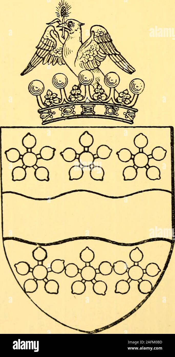 . Stammbäume bei den visitationen der Grafschaft Durham Marienpfalz, die von William Blume, Norroy König aufgezeichnet, 1575 von Richard St. George, Norroy king-of-arms, im Jahre 1615, und von William Dugdale, Norroy king-of-Arms, 1666. Stockfoto