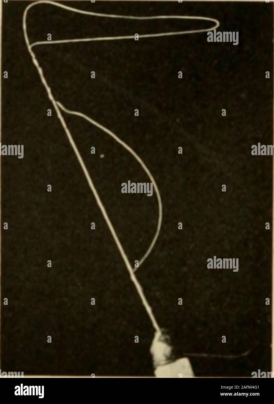 . Reiten und Fahren. Jetzt ing derjenigen, die zu erhalten practiceand Vergnügen aus ihren Ställen, nicht nur forthose, die ihre Pferde für j) uq 3 Betriebssysteme von Trans- portation. Beginnen Sie nicht mit dem notionthat die einzige Möglichkeit, ein Tandem zu fahren, oder eine vier ist, dass genau die jiroper harnessto Fahrzeug, das Recht, die Form einer Schnalle, und Pferde von nur suchand einem solchen Charakter. Der Ring ist eine Sache; Fahren, für Sport und Vergnügen, ist etwas ganz anderes. Praktisch jeder Mann, der enoughmoney verbringen können gewinnen pri/.es im Ring, und es gelten nur gelegentlich Wenn heute so viel moneyis Stockfoto