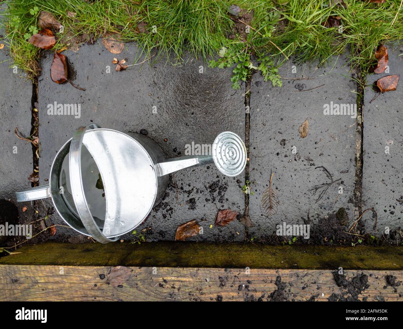 Hohe Betrachtungswinkel der Bewässerung im Garten Stockfoto