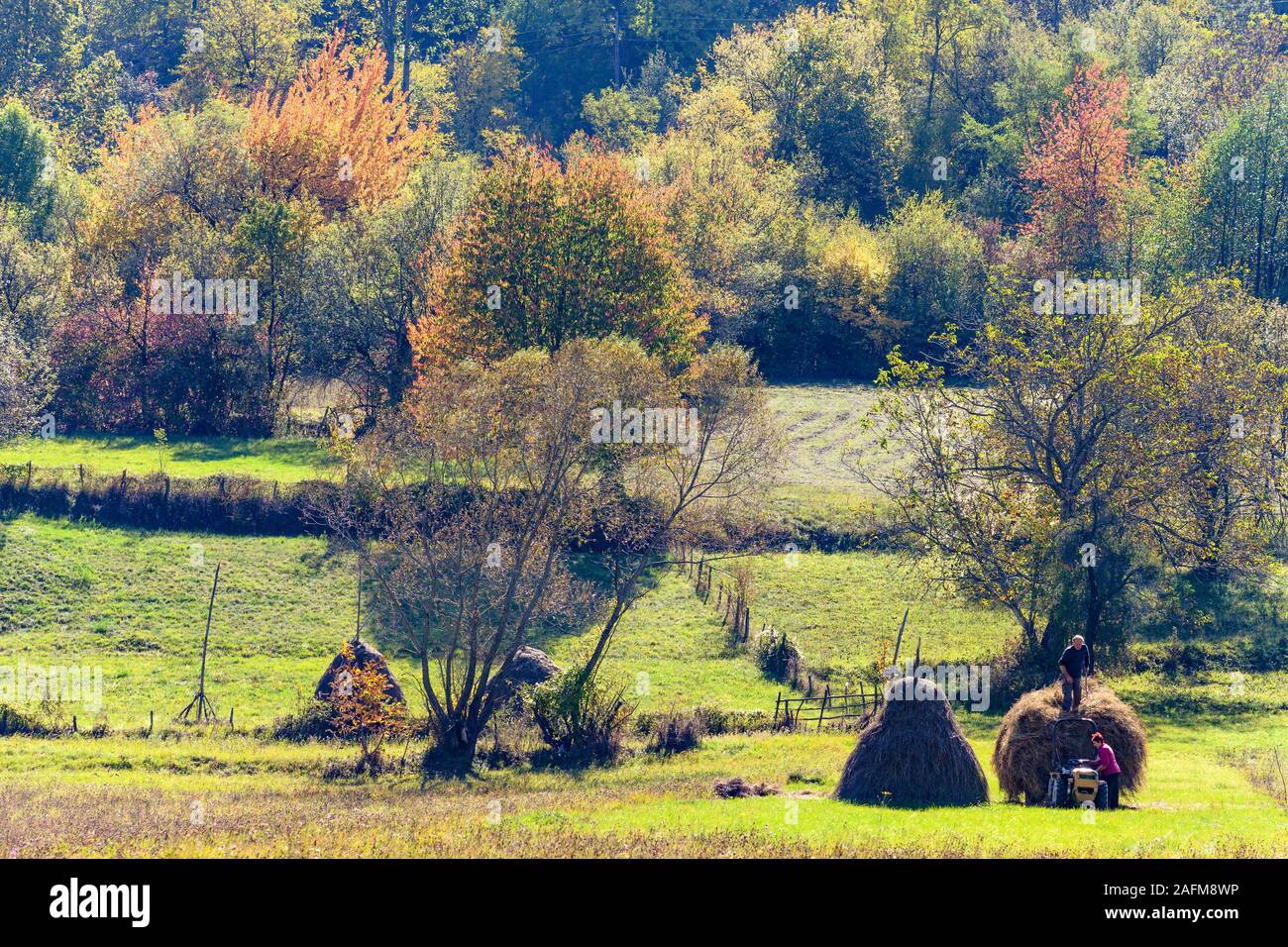 Die Landwirte Gebäude Heuschober in der Nähe von Štrpce unterhalb des Sharr Mountain National Park im Südwesten des Kosovo, zentralen Balkan. Stockfoto