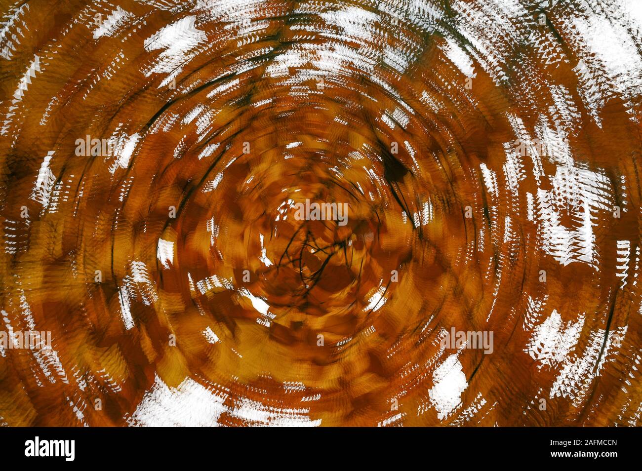 Herbstlaub Mehrfachbelichtung Spinning Stockfoto