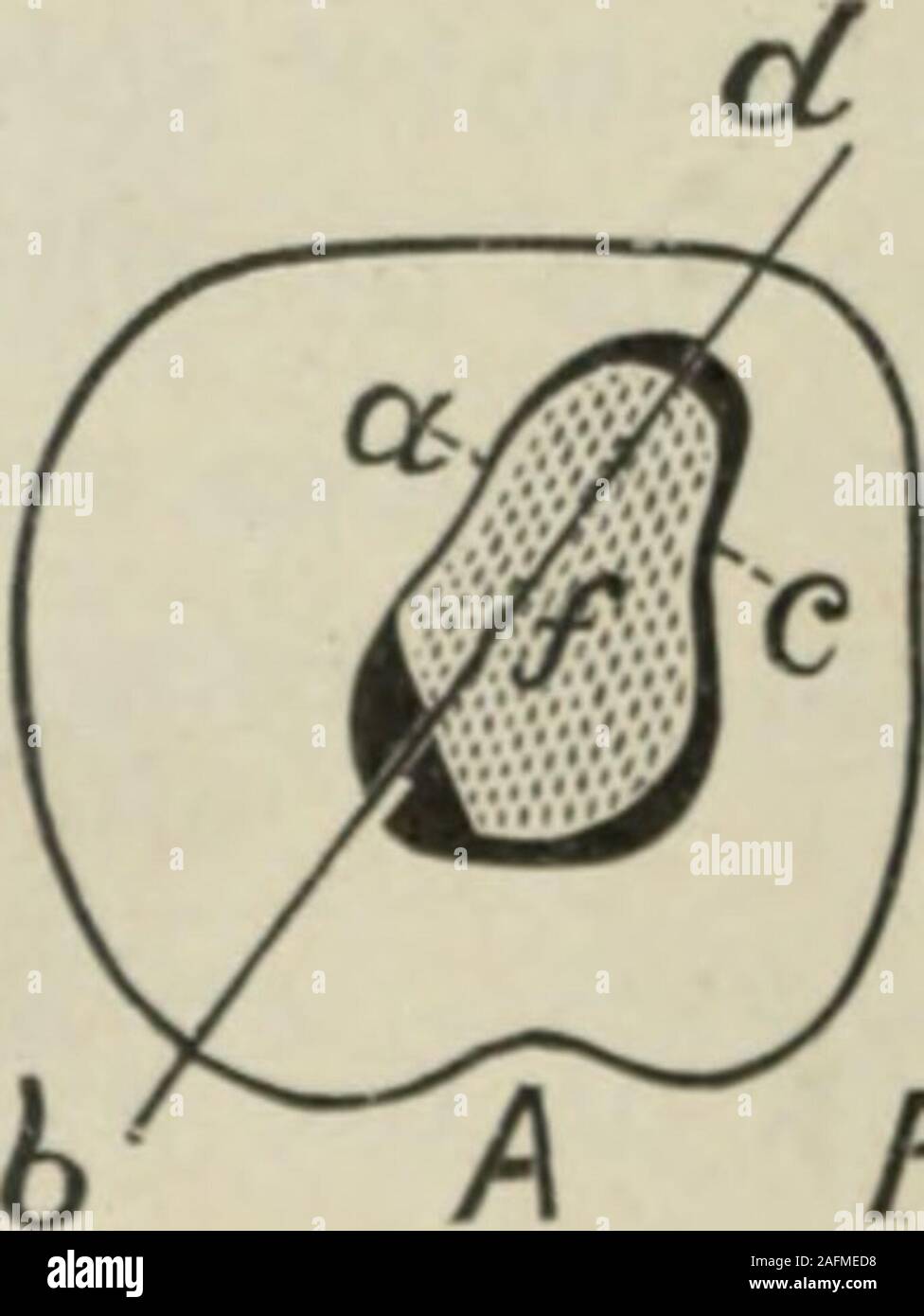 . Die odontographic Journal. Groben, ausgefranste Rand. In vielen solchen casesthe Fazit kann an, dass der Vorgang wasoriginally eine schlechte, und der Fahrer ein stümper gesprungen worden sind. Eine solche Feststellungen zu Sion muss ausgesprochen werden, die zumindest voreilig und ungerecht zu sagen; für die füllleitung kann wirklich einer der besten, und der Bediener almostwithout ein Peer; und doch, einfach, weil eine Sache, sehr leicht in appar-ent Bedeutung, hatte übersehen, die Operation nun nicht himvery wenig Kredit, und hat sich nicht sehr stark auf die Salva- tion des Zahnes beigetragen. Es ist dieser scheinbar kleine Sache zu Die Stockfoto