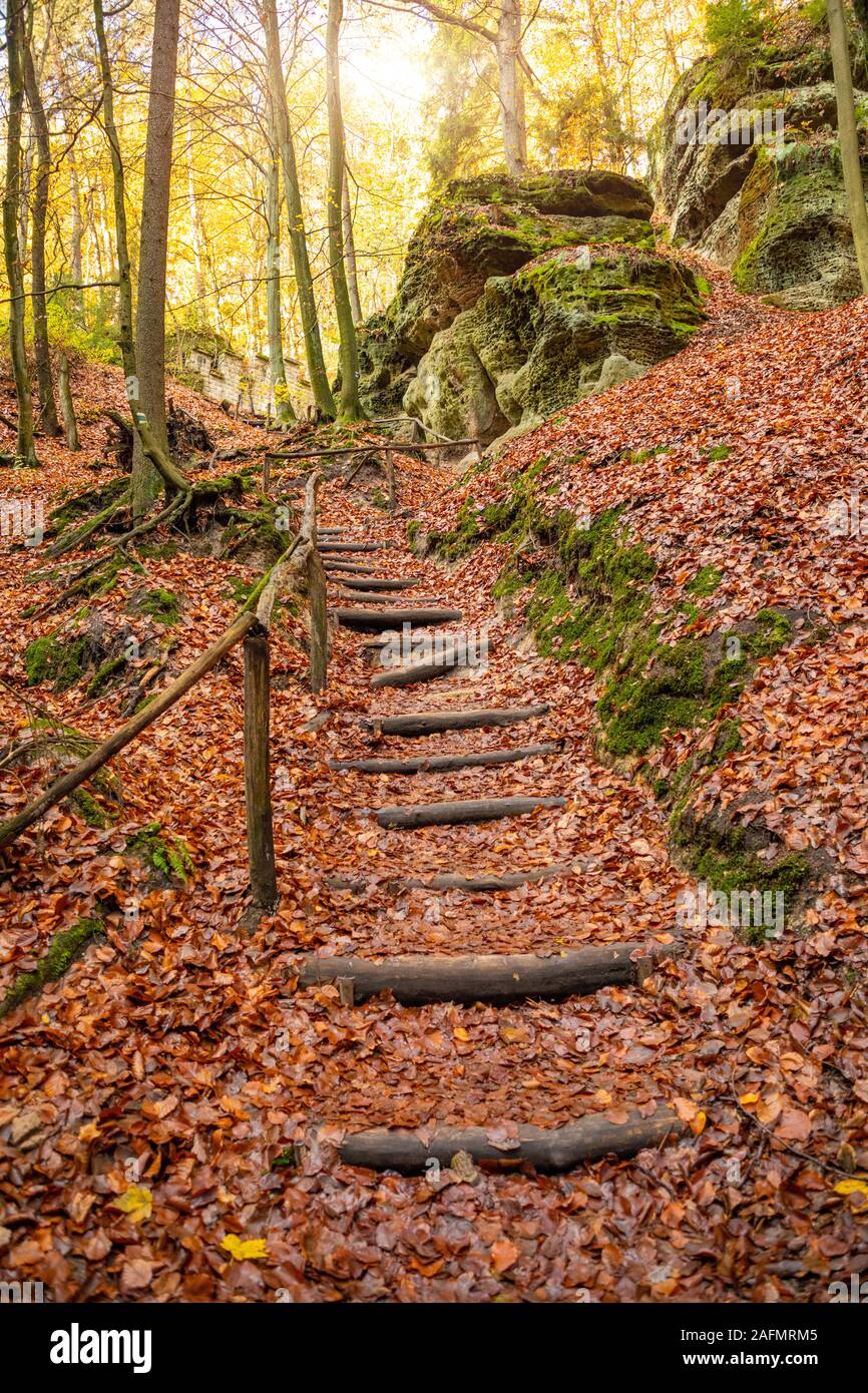 Hölzerne Treppe zwischen Bäumen zu Kokorin in Nordböhmen im Herbst, Tschechische Republik Stockfoto