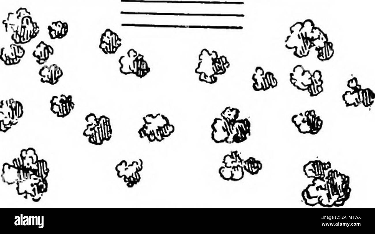 . Unterricht mit Pflanzen. Vorschläge für sehen und interpretieren einige der gängigen Formen der Vegetation. relativ wichtig, keine klaren Com - Aufnehmen der Attribute und die Bedeutung der pflanzlichen Erzeugung. Die Leser, wünsche zusammen zu setzen, um die Vorschläge dieser char-acter wenden Absätze: Für die Existenz kämpfen - 5, 11, 13, 14, Obs. iv., 48, 80, 223, 305 o, 412, 518, OBS. Ixxiv., Anregungen Seite 402. Variation und Selektion - 35, 71, 118, 118 a, 134, 135, 137, 138, 175, 178 a, Abb. 172, 208, 227, 233, 302, 315, 3316, 358, 444, 458, 484, 485, 485 a, 492, 492 a, 518, OBS. Ixxxii. Definitionen - 53 a Stockfoto