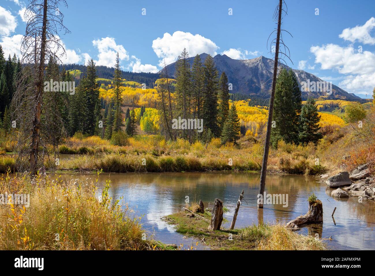 Kebler Pass einen hohen Berg Pass, in Crested Butte Colorado beginnt ist ein malerischer Herbst Farbe mit goldenen Espen. Stockfoto