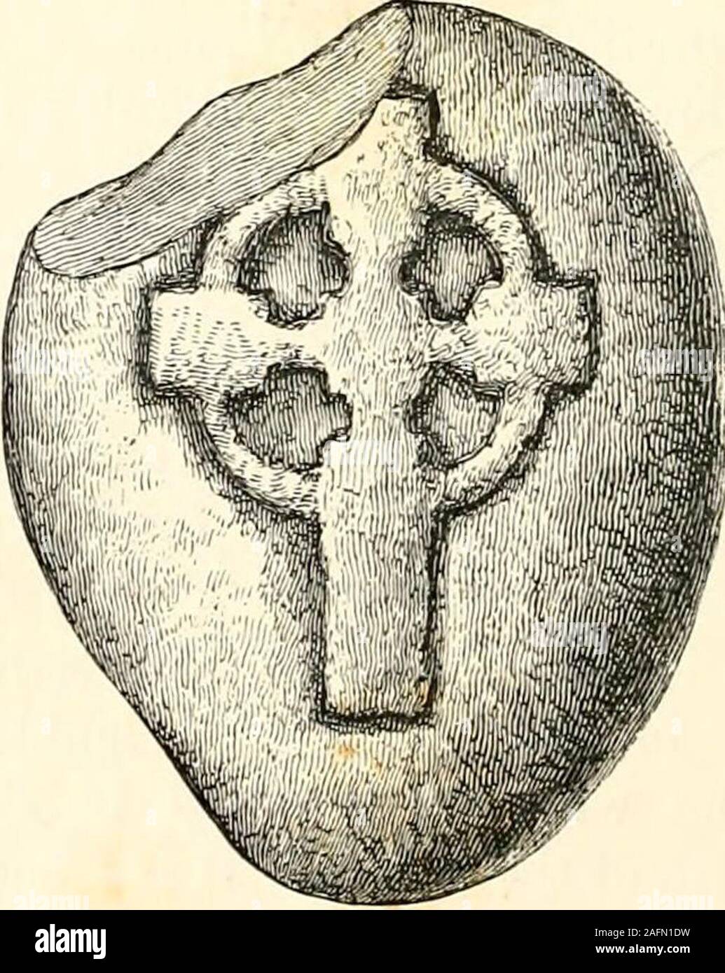 . Amtsblatt der königlichen Gesellschaft von Antiquaries in Irland., Edinburgh, für die Bereitstellung von Bausteinen, die die 150 ROYAL SOCIETY ANTIQUARIES IN IRLAND. Antiquitäten auf Sanda, Coll, Tiree, flannan Isles,Eona, EileanMor und Gigha Insel, von Muirs ekklesiologische Anmerkungen zur theWestern Inseln von Schottland, hat er auch höflich erlaubt theillustrations für Lona und Kirkwall Kathedrale, die er von thevaluable Arbeit reproduziert, von den Herren und Ross MacGibbon auf der EcclesiasticalArchitecture von Schottland, auch von ihm veröffentlicht. Die wertvolle Hilfe frei gegeben von Dr. Joseph Anderso Stockfoto