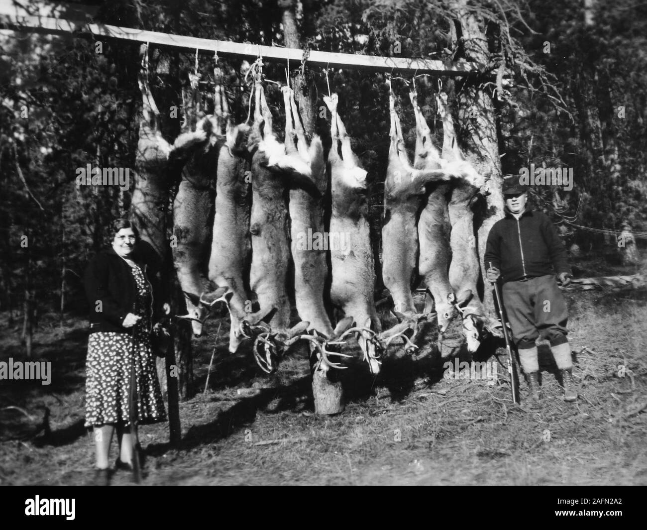 Ein Ehemann und eine Ehefrau Jagdgesellschaft pose mit der Hirsch Ernte in South Dakota, Ca. 1938. Stockfoto