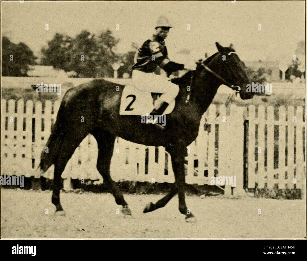 . Reiten und Fahren. Und er sollte eine Verriegelung der Mähne, halfwaybetween die Ohren und dem Widerrist, und, mit dem vorgeschriebenen Hand ruht auf der Vorderseite des Sattels, heshould fassen die Kehle von Knauf, thumbunder, Finger, der auf den Boden über dem vorgeschriebenen Seite des Pferdes. Dann, vonder Kugeln beider Füße, er seine weightupon seinen ausgestreckten Arm zu nehmen und mit seinen rightleg über die Kruppe des Pferdes, Spülbecken in seinen Sitz. Das Pferd stürzt sein sollte oder die manwill Mark der Zeit einiger vorwärts Impuls, andspringing mit Erreichen der Sattel ohne Mak-ing die genaue Stockfoto