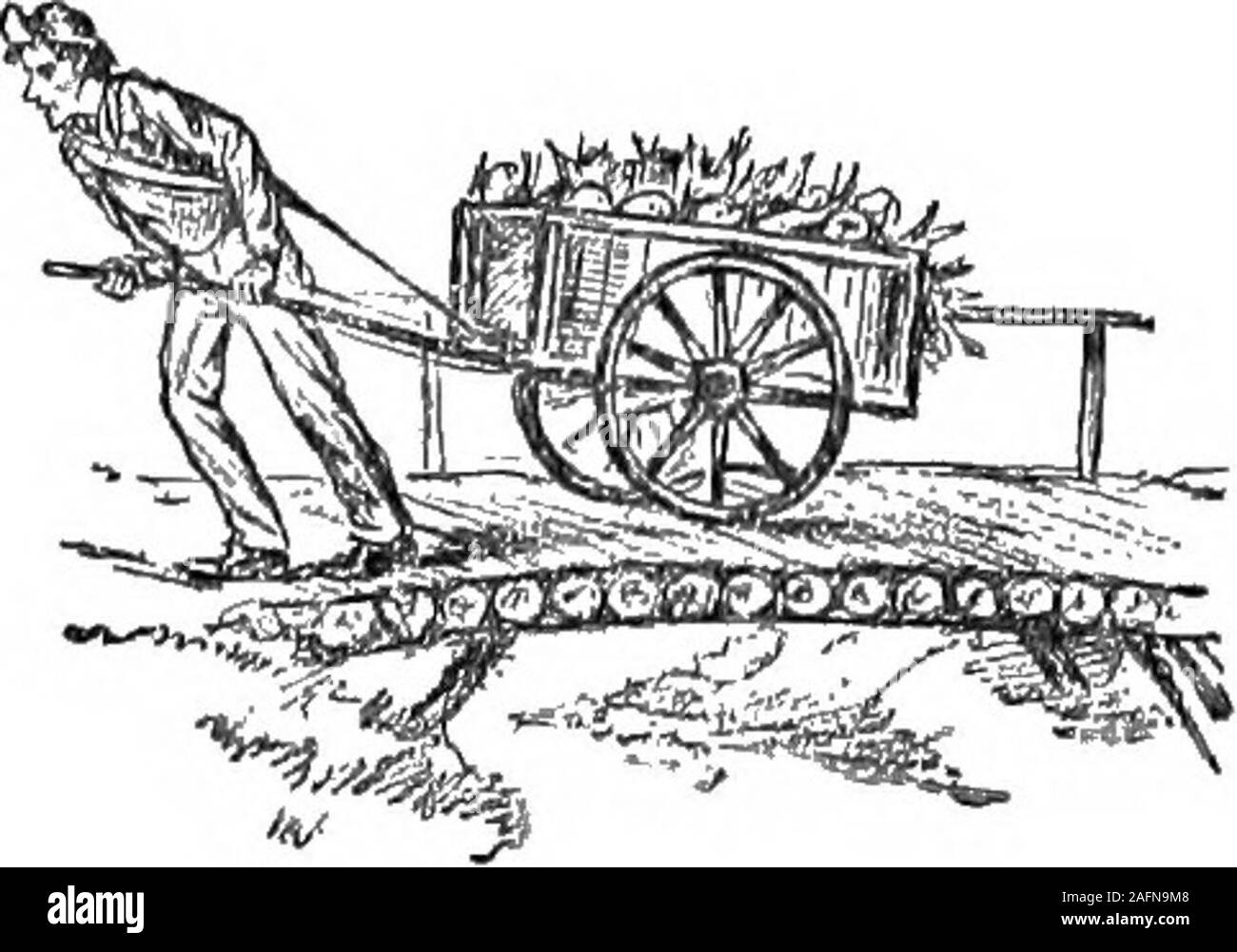 . Könige der Plattform und die Kanzel... : Persönliche Erinnerungen und Anekdoten des notierten Amerikaner. ve meine lecturein am gleichen Ort. Es kann nicht getan werden? Herr Browne segelte nach England bald nach, die mit ihm hisPanorama. Der Erfolg, erwartete ihn kaum beenanticipated durch seine intimsten Freunden haben könnte. Wissenschaftler, Esprit, Dichter andnovelists zu ihm kam mit ausgestreckten Hände und seinen Aufenthalt in Lon- don war eine Ovation in den Genius der amerikanischen Esprit. Charles Eeade, der Romancier, war seine warmen Freund und enthusiastischen Verehrer; andMr. Andrew Urlaub machte ihn mit dem literarischen Verein, wherehe wurde Stockfoto