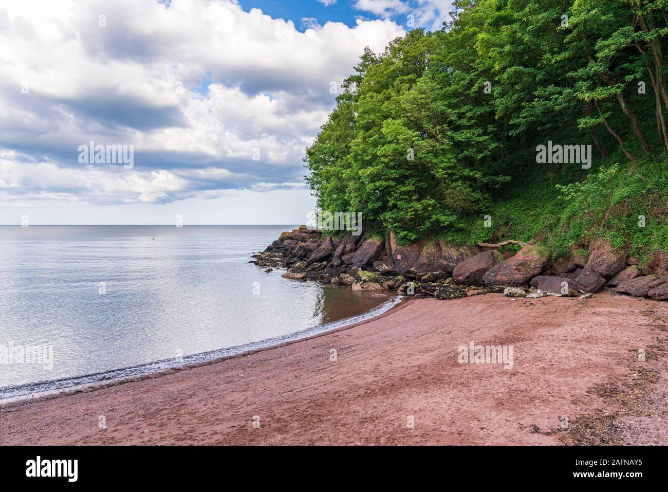 Watcombe Beach in Torbay, England, Großbritannien Stockfoto