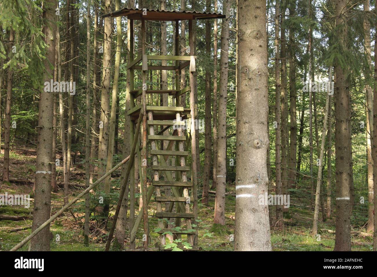 Jäger Hochsitz im Wald mit Baumstamm im Vordergrund. Stockfoto