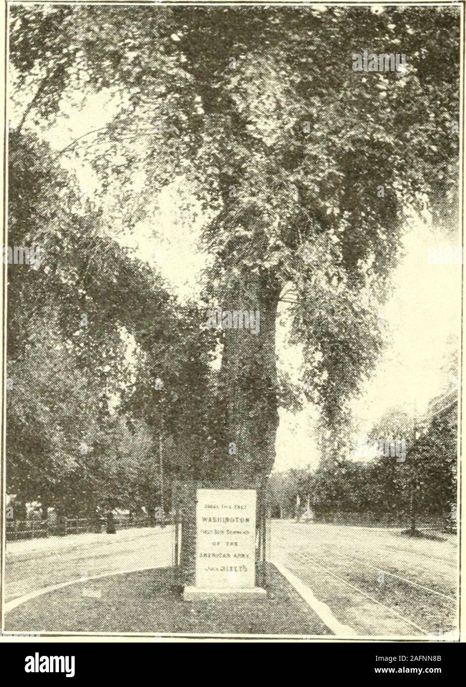 . Rand McNally Boston Führer durch die Stadt und Umgebung, mit Karten und Abbildungen... eaking Personen theNorth Ende. Es ist nicht nur für Kinder, sondern erstreckt sich maintainsclasses itsservice durch die Lehre besser amongparents livingconditions und höhere Standards. Mehrere tausend Personen arereached jedes Jahr auf diese Weise. Umgebung Cambridge, eine Stadt von 115.000, ist mit Boston bysix Brücken neben Charles River Dam und dem picturesqueviaduct verbunden. Der Viadukt mit seinen Bögen aus Stahlbeton, Formen einer erhöhten Struk- tur für Trolley cars betweenBoston und Osten Cam-bridge. In der Nähe ist Export-module Stockfoto