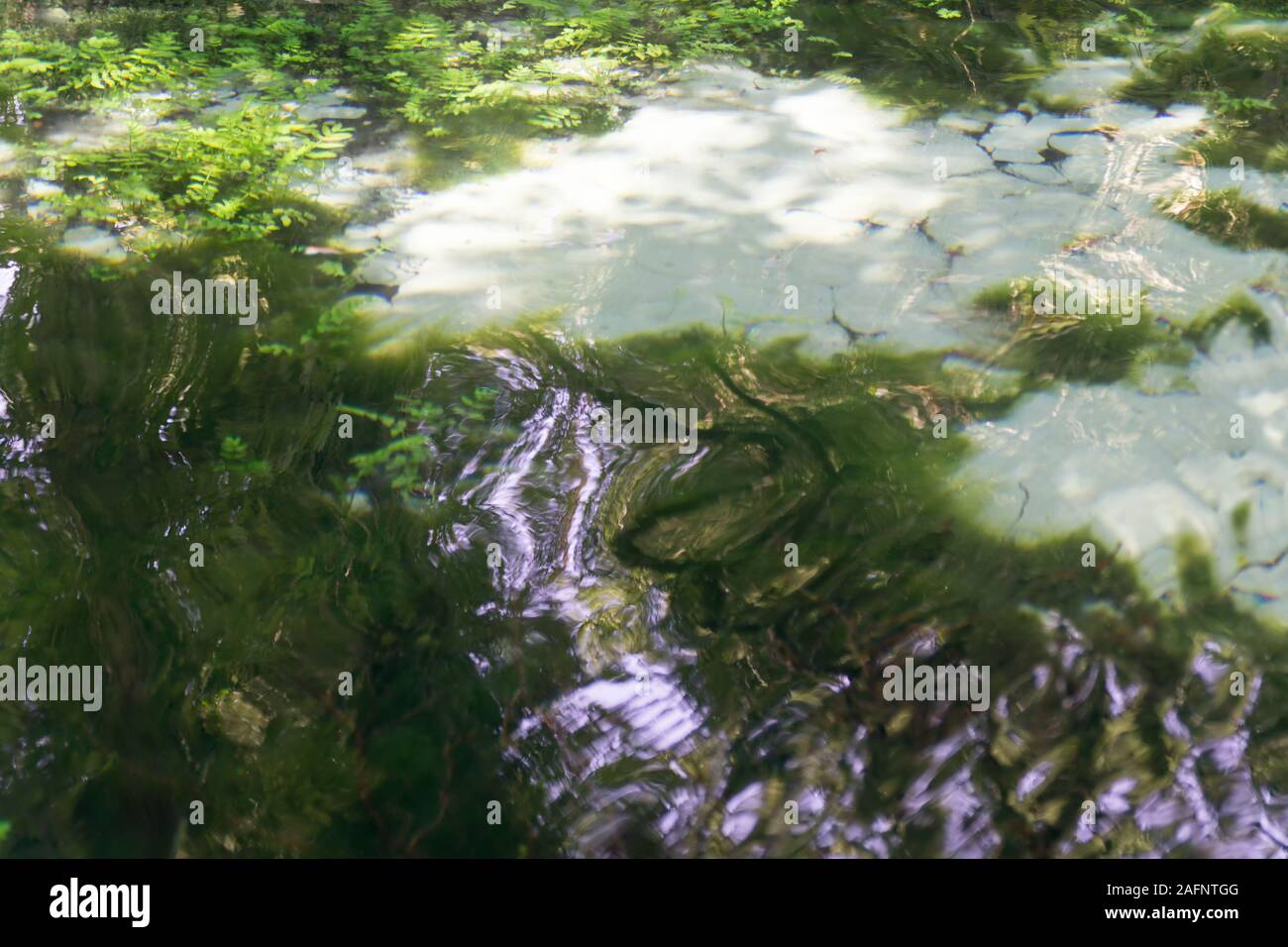 Grüne Zusammenfassung Hintergrund. Wasser Oberfläche mit bunten Lichtreflexe Stockfoto