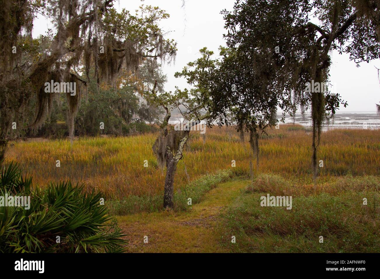 Salzwiesen Mündung bei Ebbe auf Amelia Island, Nassau County, Florida. Stockfoto