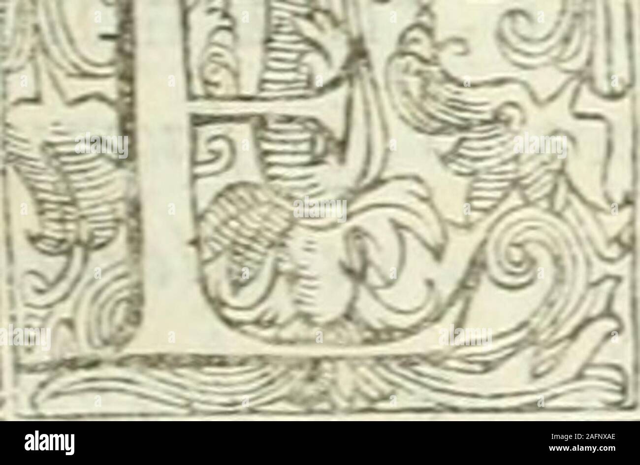 . Corona imperiale dell'Architettura militare. Libro Terzo delle Offefe. Cofa certa, che Te lo Architetto militare non intende, & ha perfettacognitione di tutte le offefe ne^^ che io, o deue Fare potente, e Fuga - ce-nemico al Fito fortificato, giarnai potrà Wagen ottima Forma, & ottimi rimedi al Fito da fortificarfi j Perche mancando di conofcere v-na Fola offefa, nicht che molte, non potrà appHcare al Fito il conucnien-te rimedio pro difenderff, & opporfi eine qiieha vna, o più offefe nicht in-tt^Q-i e conofciute; e da Quel difetto, & imperfettione conofciuta Poi, &: reuifta da Peri - nemi Stockfoto