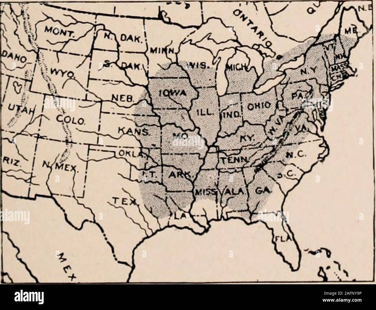. Handbuch der Bäume im nördlichen Staaten und Kanada östlich der Rocky Mountains. Foto - beschreibend. n syn- chron Trocken wiegen 47. OG lbs, hart und strongand ist für Werkzeuggriffe, agriculturalimplements, Bänder, ox-Gabeln, usw. bewertet und makesan ausgezeichneter Brennstoff.- Lcavcs 0-10 in. Ion;;;;;;;;, pubertierende, wenn Junge, mit eher schmal Blattstiele, leflets 7-11, Stiellose, lanzettlich, verkehrt eiförmig, 2-6 cm lang, dünn und Unternehmen, in der Regel an der Basis ungleicher, grob gesägt, longtaper-spitz, dunkelgrün und kahl vor, pubertierende unter: Winter Blüten Hellgelb, komprimiert, mit 2 Paar valvate caducoussca Stockfoto