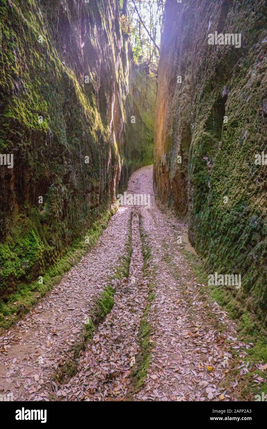 Dem schmalen Pfad in den Felsen von etruskischen Zivilisation namens Vie Cave in der Toskana ausgegraben, Zentrum Italien, zwischen Pitigliano und Sorano Stockfoto