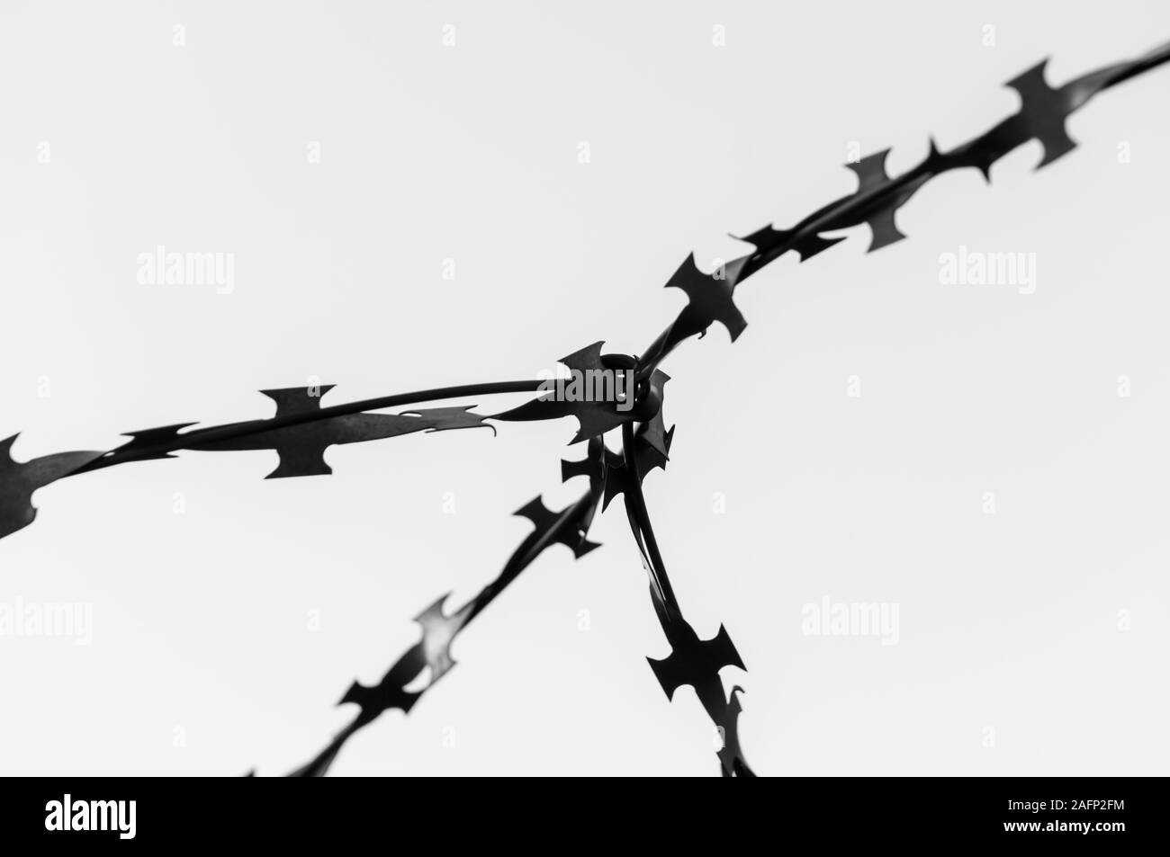 Stacheldraht hautnah. Soft Focus. Das Konzept des Kampfes für die Freiheit. Kopieren Sie Platz. Schwarz-weiß-Bild. Stockfoto