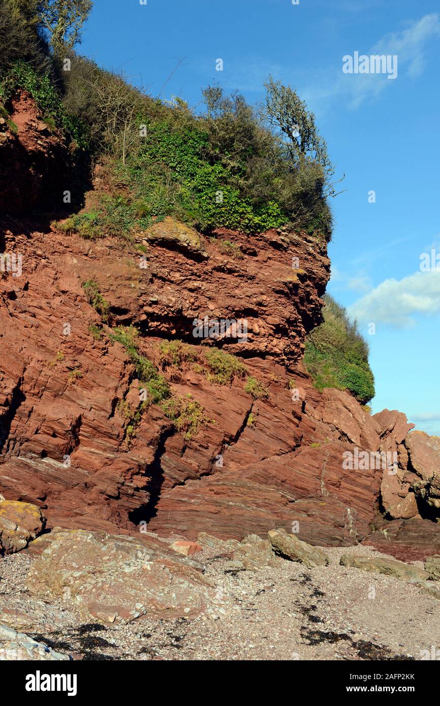 Devon ära Felsen an der Saline Bucht südlich von Paignton, Devon, UK, im UNESCO global Geopark. Stockfoto