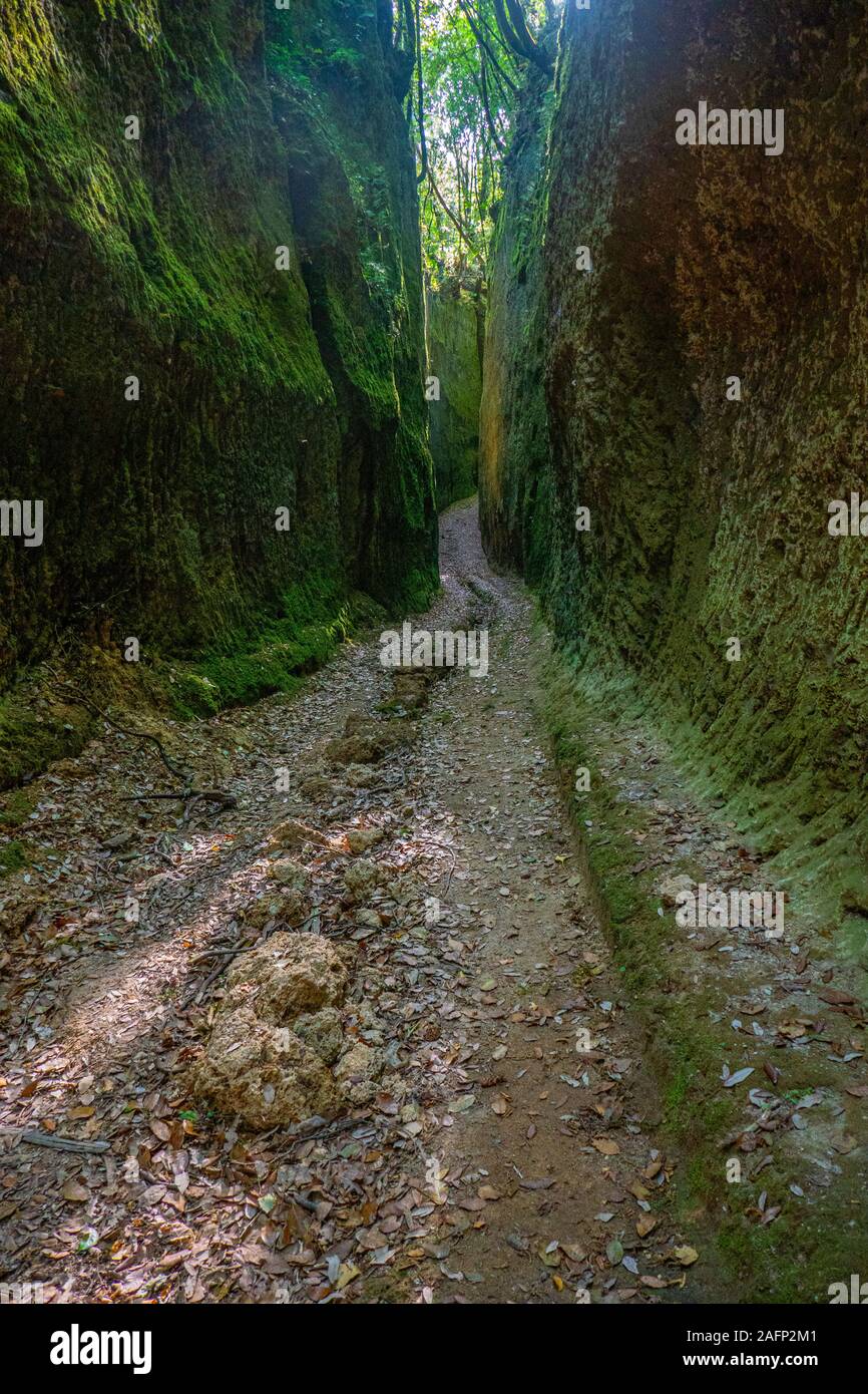 Dem schmalen Pfad in den Felsen von etruskischen Zivilisation namens Vie Cave in der Toskana ausgegraben, Zentrum Italien, zwischen Pitigliano und Sorano Stockfoto