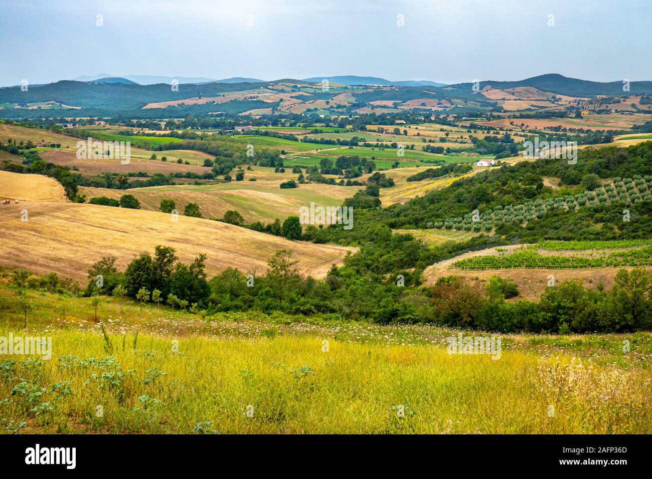 Italienische Landschaft mit Bäumen, Feldern und bewölkter Himmel in der Toskana Stockfoto