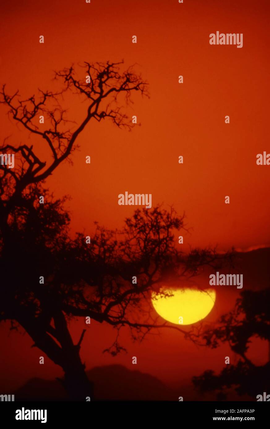 Afrika Sonnenaufgang oder Sonnenuntergang Stockfoto