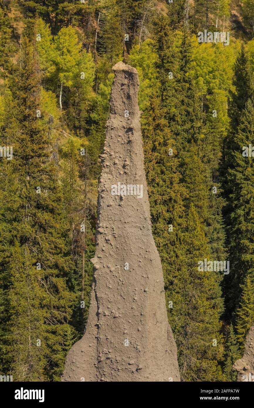 Die Pinnacles, erodiert geschweißte Lüftungsschlitze aus pyroklastischen Ablagerungen in Crater Lake National Park, Washington, USA Stockfoto