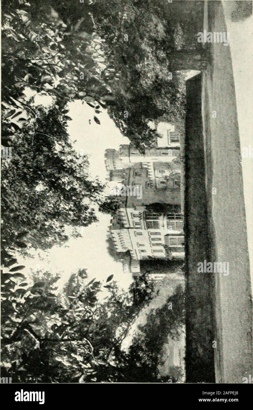 . Frau Gladstone. rol seine Gefühle, und doch hat er di-ihnen gegenüber Gott rected. Er ist ein sehr edles andpowerful Kreatur. Er war ein Mann der seltenen Errungenschaften; ein beautifulscholar, seine Natur voll von scharfen Kontrasten - Vigor-ous, stürmisch, fromm, Ausschreibung. Sie trafen sich täglich, Reiten, Wandern, fahren. Sentofif ein Schneesturm, der Entschuldigungen für alle anstehenden Par-Riegel. Dann kam ein Flug nach Eton - Die zwei pairsof Liebhaber - für Sonntag. Es gibt kein Ende für unsere Themen - oder zu unseren terruptions, sagt er. Es ist einfach, Whata bower der Liebe vorzustellen, und die Ekstase die Berkeley Squarehouse in den Sommermonaten geworden sein muss, mit Th Stockfoto