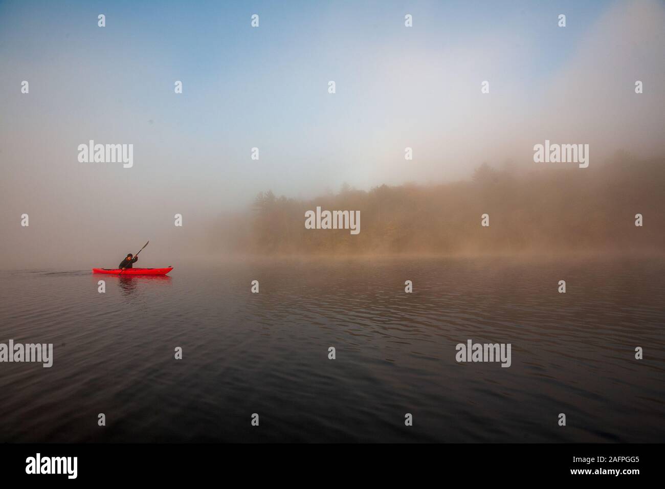 Paddeln auf einem nebligen Teich. Stockfoto