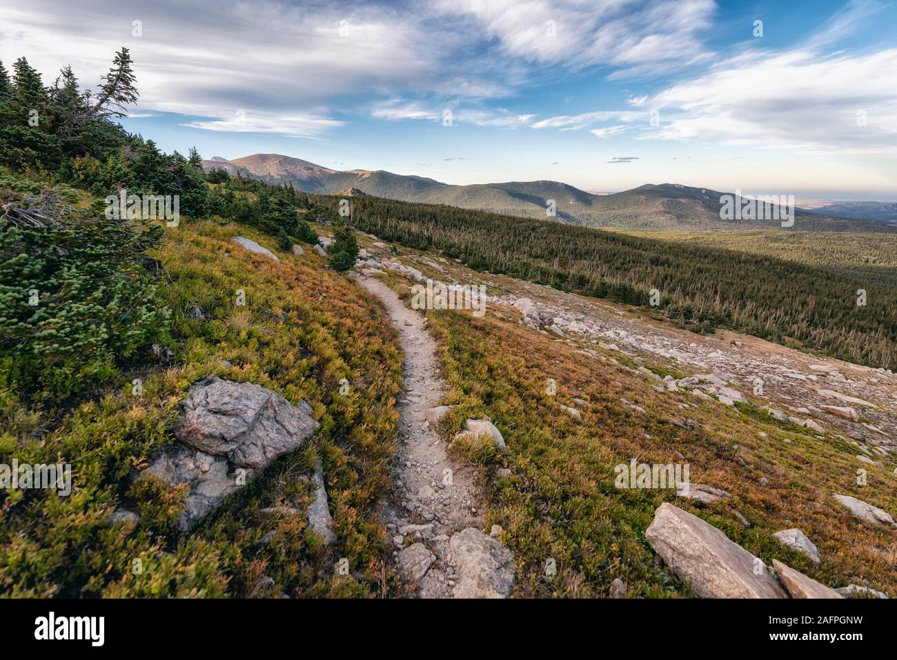 Wanderweg im Indian Peaks Wilderness Stockfoto