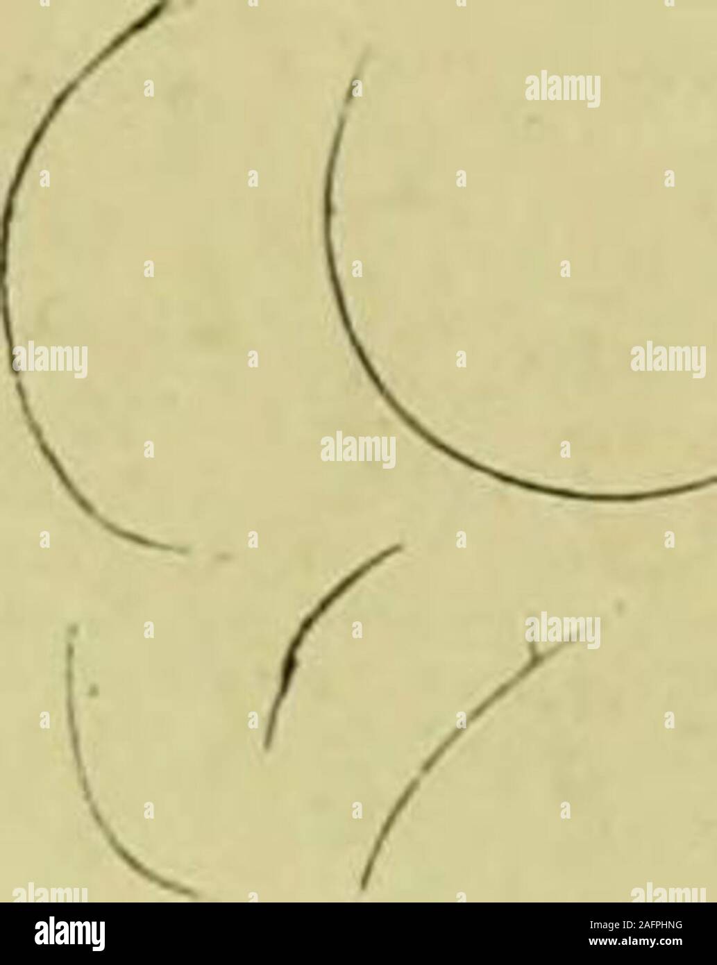. Kanadische foundryman (1918). Die C (li Down&gt;. Die KAWIN Ser-vice Gewehren schalten sie die Produktion Kosten Ihrer Anlage. Wir haben spezialisierte infoundry Praxis und wewill garantieren, dass Theresults unserer experiencewill sparen Sie 100% overand über die Kosten der KAWIN SERVICE Kosten der Produktion wird der Aufwärtstrend aufgrund der Knappheit von Arbeitskräften und sonstige Bedingungen aufgrund des Krieges. Aber theres ein großes Maß an Entlastung in Sicht Misstease. Nur geben die Kawin Service die Möglichkeit, Ihre Anlage zu bedienen. Sie Stoppen leckt sie nie wussten, dass sie existierten und zeigen Ihnen, wie Sie mehr workand Wette erhalten Stockfoto