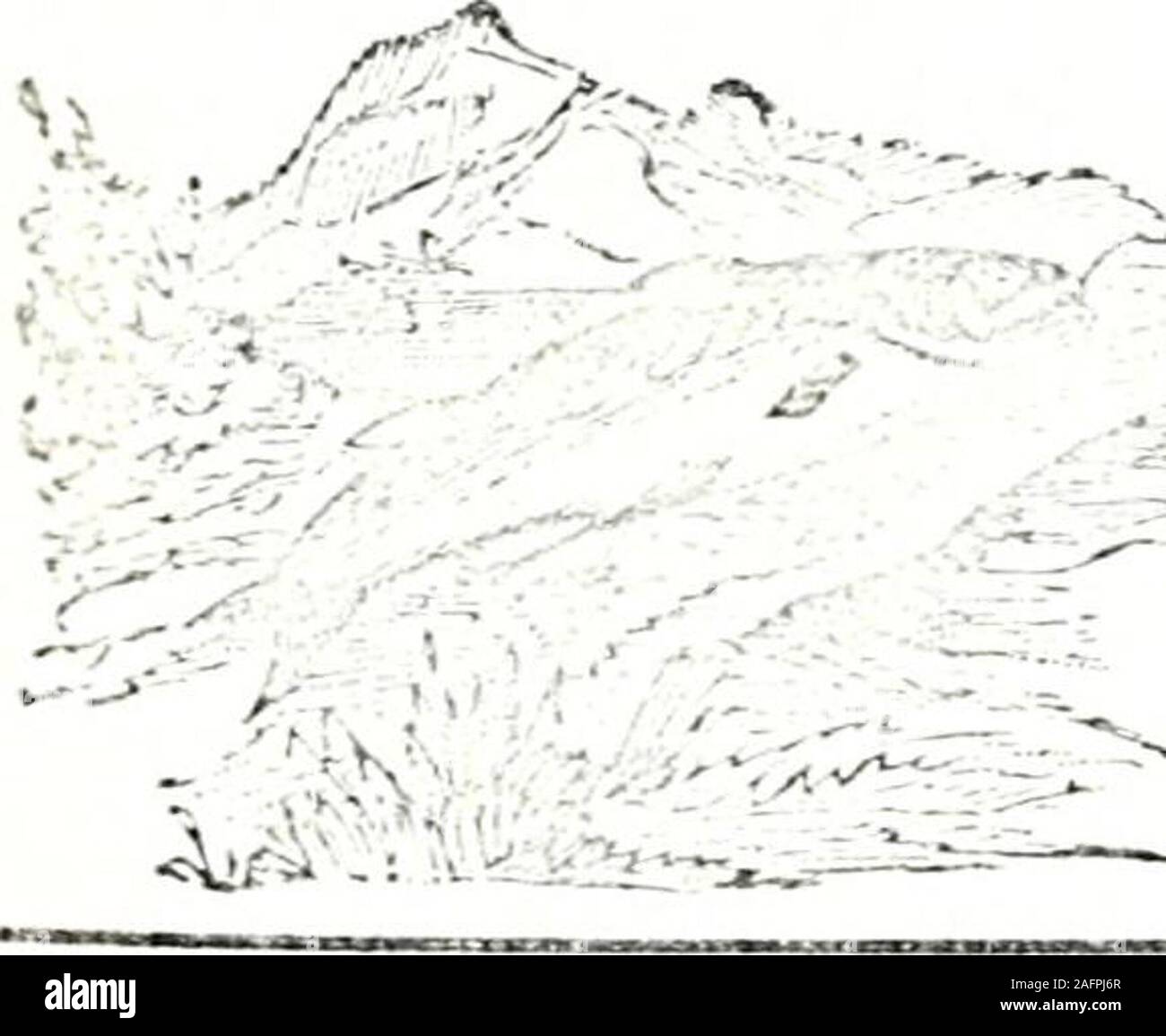 . Wisconsin State Ortsverzeichnis und Branchenverzeichnis. 11 11101 rioii und OYSTKRS. Geräucherter Fisch EINE SPEZIALITÄT 519 Chestnut st., MARINETTE, - WIS.. (MENEKAUNE S. O.) x, in "^ iDjH]/i: ^dveixjLiuk., rUOPRIETOUS von P?^/^. Iiejilerg i.e. Sasli, Poors ami Kliiuls. M. inurHctnrers der Store Fronten ftii. l Fixturos und CliurcliFurniture. Sperial Alleiitiuu FlniKh tlirou zu Hartholz. 039 Main Street, aiARIfJETTE, WIS. roXD 1) U LAC EOUSE. Swf ^f: Ich | fs?^ fe: Ich; BOAHD von MON TAG DER WOCHE. |; • -,-^!^-^* Ich .  !, fo -^- Di; L. *^^ •^?^^ j (iootl, ccoiniiioda 1 Ionen. : I2BAH AITACHED. SPLENDID SIABLIlS.jS%m-: Nassverfahren^ Rm. 19. Stockfoto